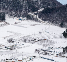 설국 울릉도 나리분지