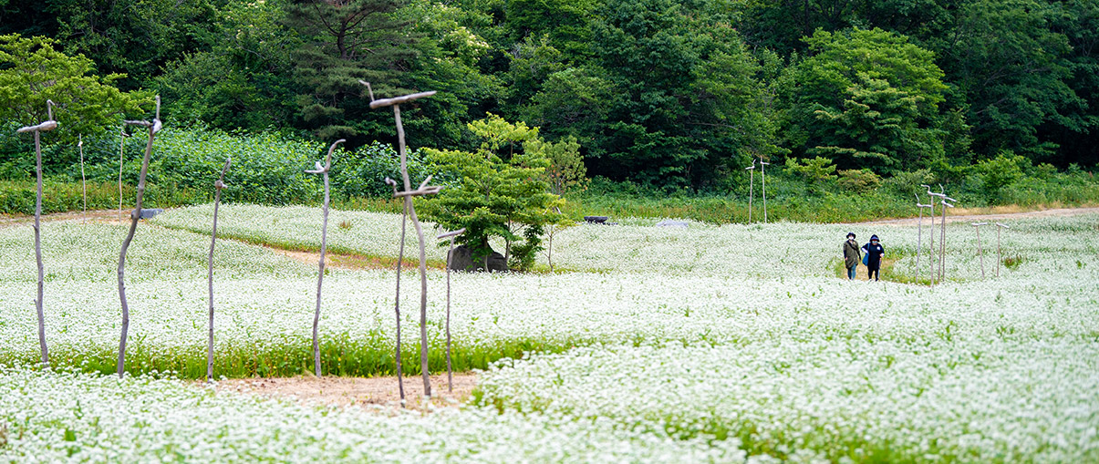 독도전경